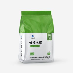 长枝木霉菌